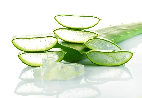 Diced Aloe Vera/ Aloe Vera Cube from Vietnam