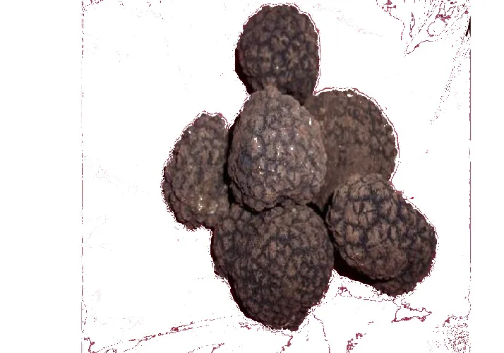 
Italian Black Truffle mushrooms Souce MADE IN ITALY original 