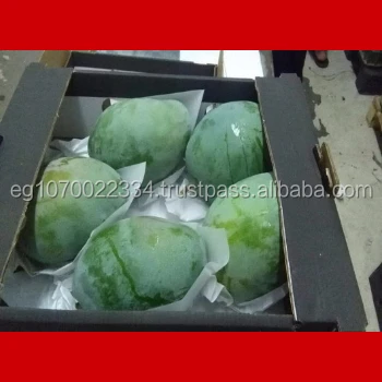 fresh mango fruit ready to export to Senegal