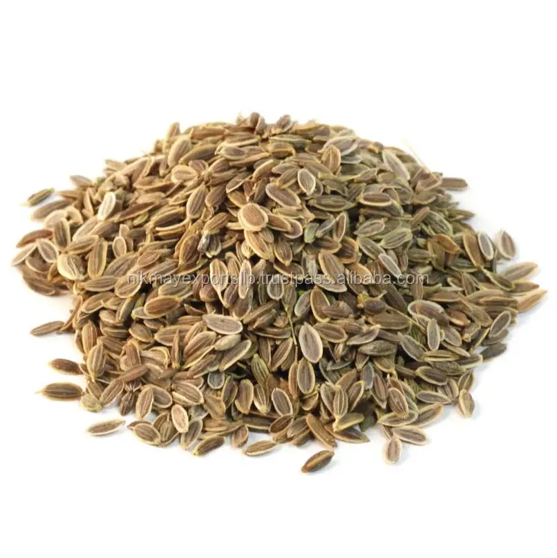 
FRESH DILL SEEDS ORIGIN INDIA FROM NIK-MAY EXPORTS 