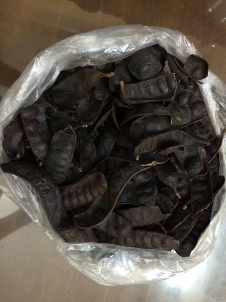 Вьетнамские сушеные gleditsiae/ Fructus Gleditschiae для волос (whatsapp 084 916800732) с высокой степенью освещенности и низкой ценой