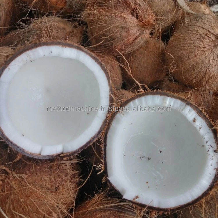 
Fresh Dehusked Coconuts 