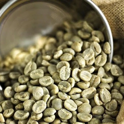 Arabica green coffee beans high quality best price supplier