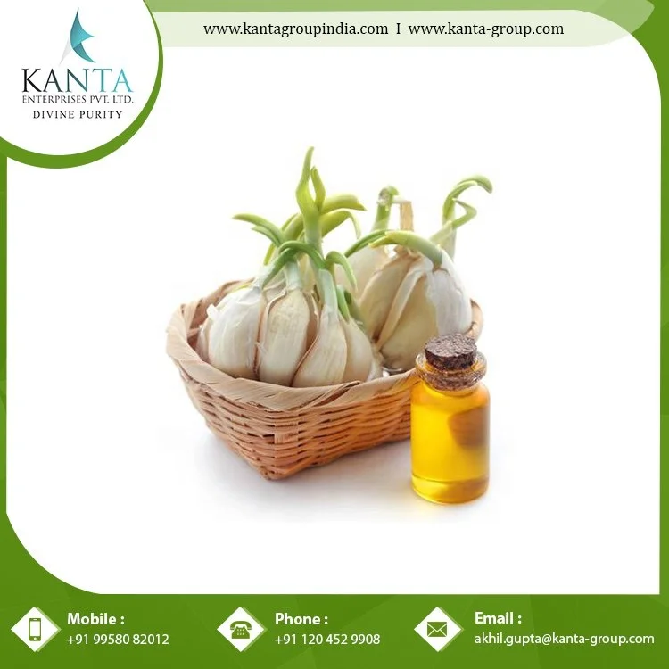 Natural Anti-Oxidant Garlic Essential Oil with Private Label Used for Skin Care low price