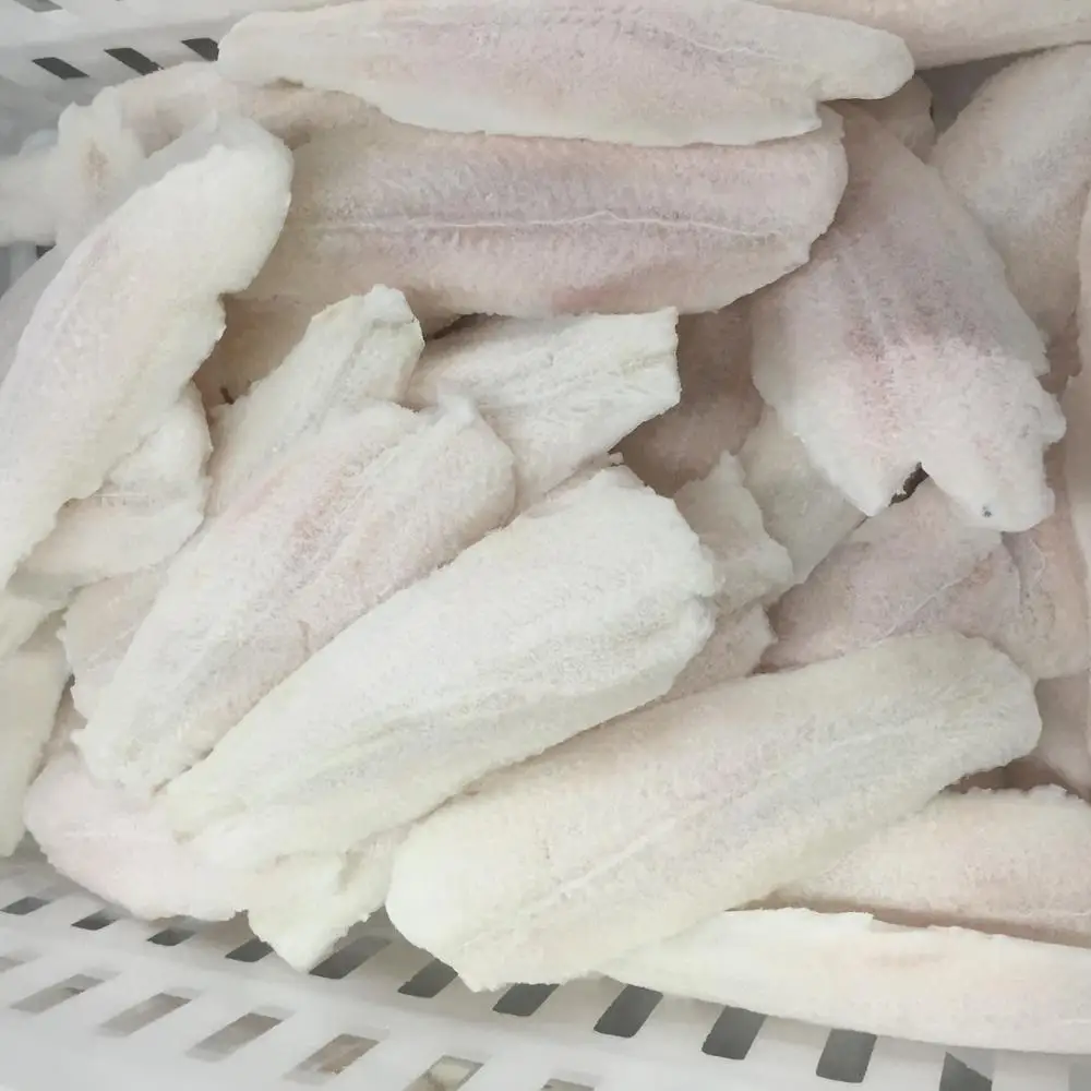 [BEST PRICE 2023] FRESH FROZEN FISH SKIN / FROZEN PANGASIUS FISH SKIN for Collagen from Vietnam 2023