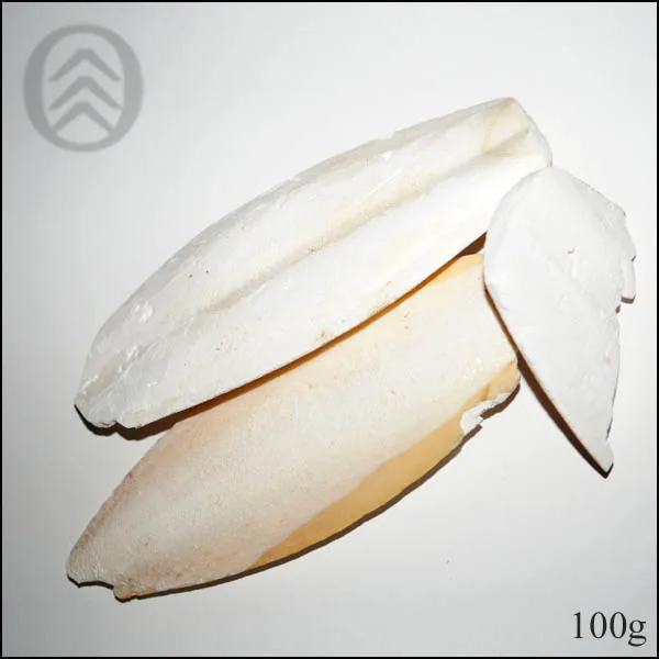 CUTTLEFISH BONES FOR BIRDS VIETNAM