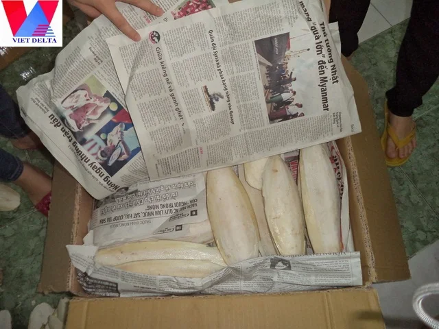 
CUTTLE FISH BONE / HIGH-QUALITY ANIMAL FEED / HAI PIAO XIAO 