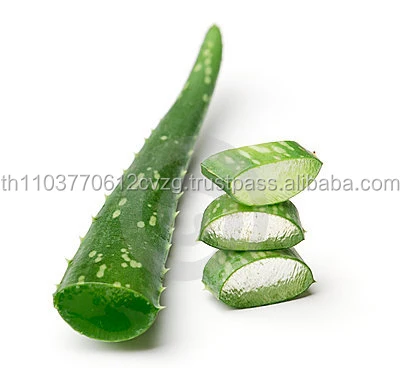 
aloe vera leaves powder 100% Natural Product of Thailand 
