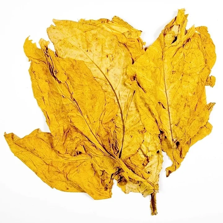 Yellow Herbal  Leaf.jpg