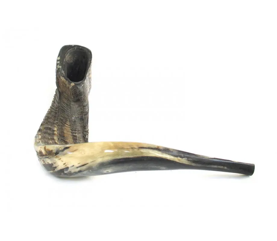 Shofar Kosher Ram Horn Great For Rosh Hashana Yom Kippur Yamim Noraim Bar & Bat Mitzvah Wedding Jewish Holidays Shabbat