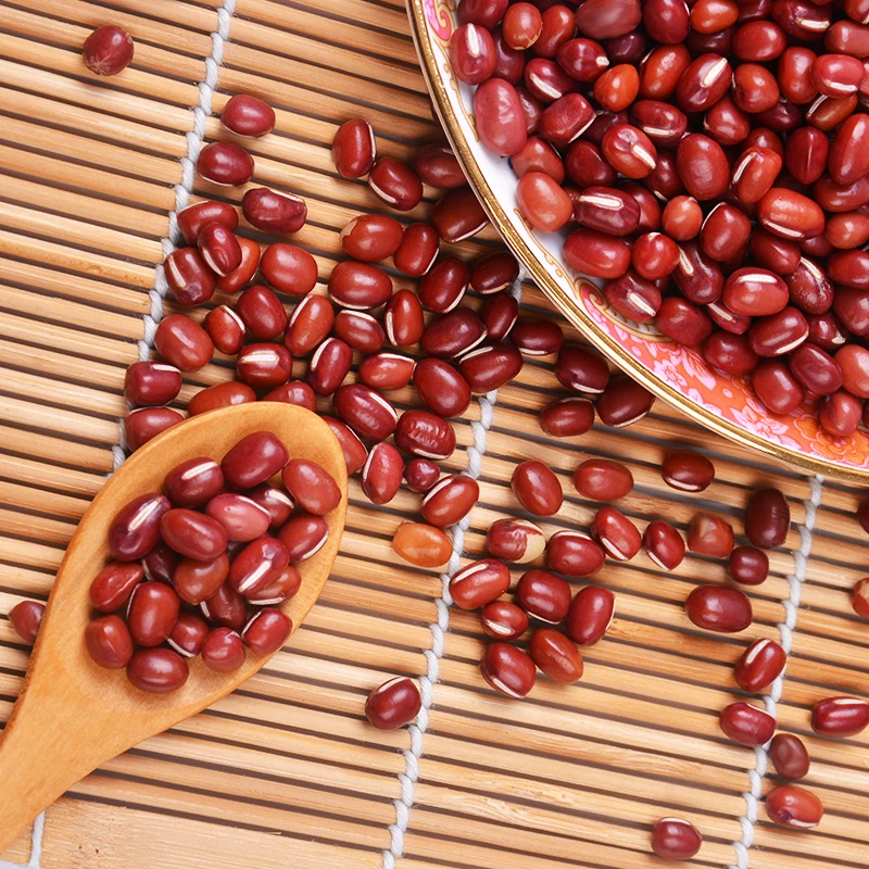 
High Quality New Crop 5.0mm up Small Dried Red Mung Bean 