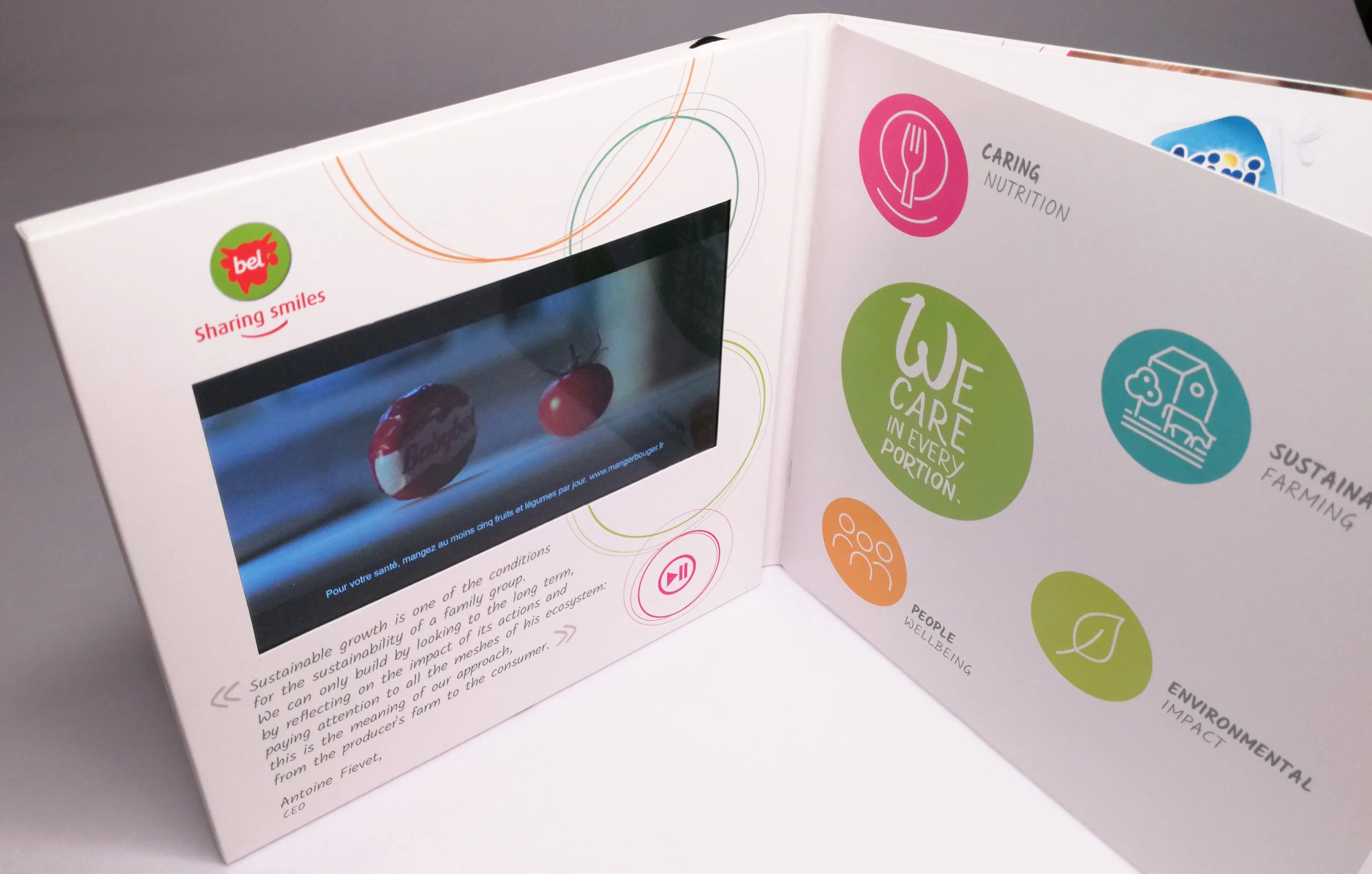Customizable Digital LCD Marketing Displays with Various Screen Sizes for Video Brochure Books and High-Quality Printing