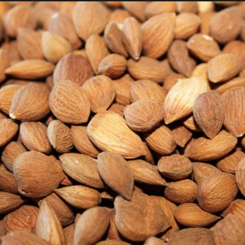 Ядра сладкого и Горького абрикоса