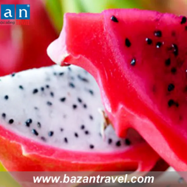 Vietnamese fresh dragon fruit/piyata with competitive price