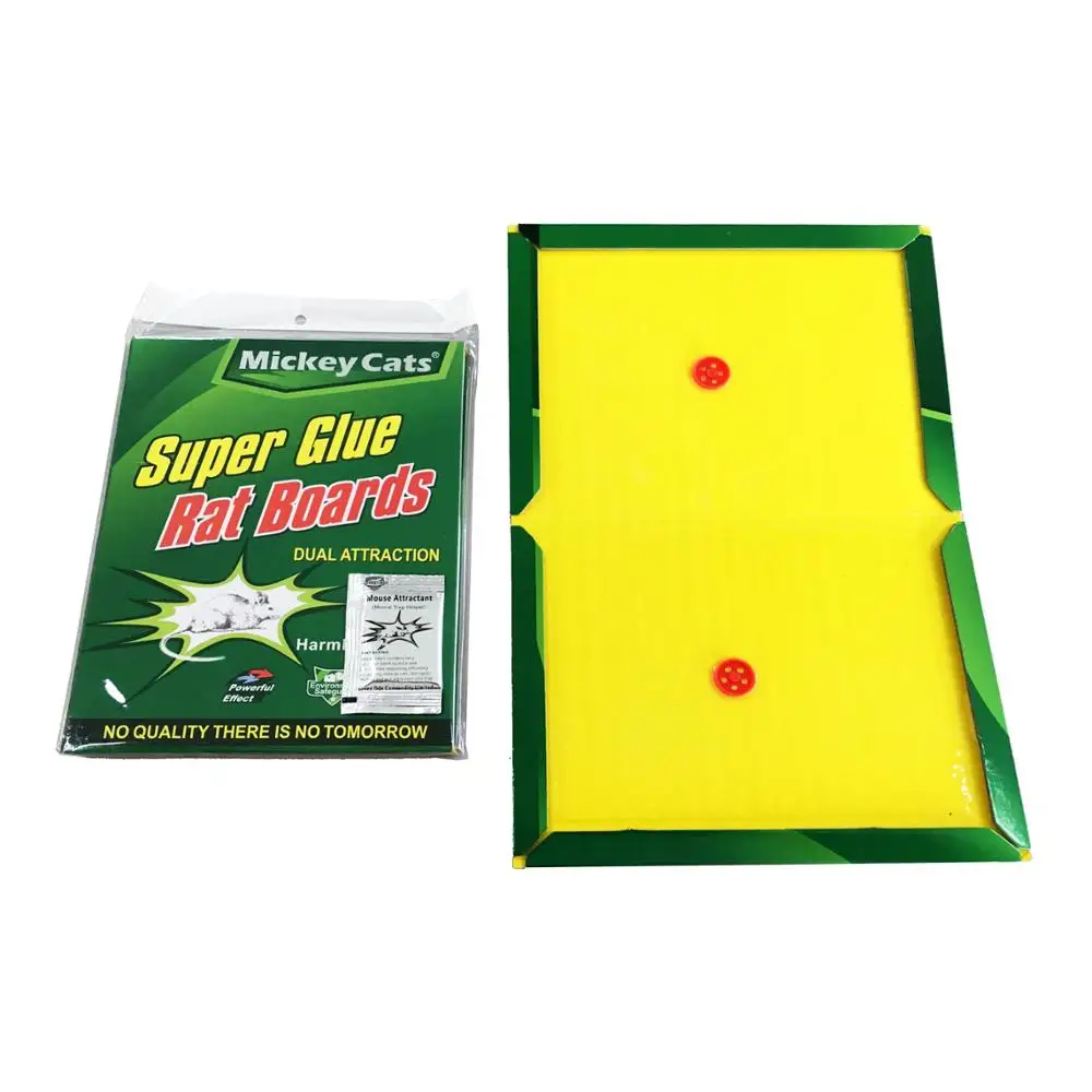 
Mouse trap glue 17x22 