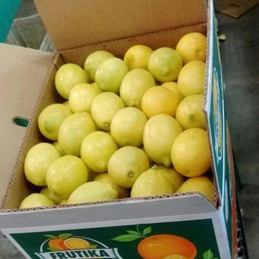 
Алалия лимон 