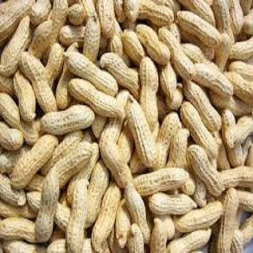 High Quality Export Dried Peanuts (Cell phone:  84 845 639 639 (Whatsapp))