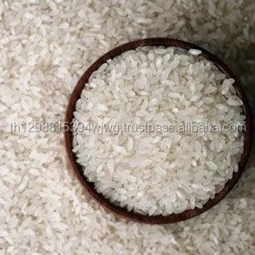 SUPPLIER SONA MASOORI RAW RICE