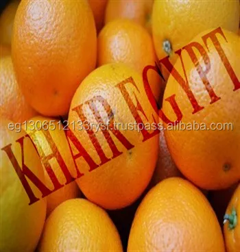 
fresh high quality orange for sale 