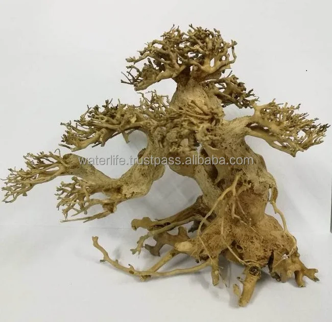 
Natural Bonsai Driftwood 