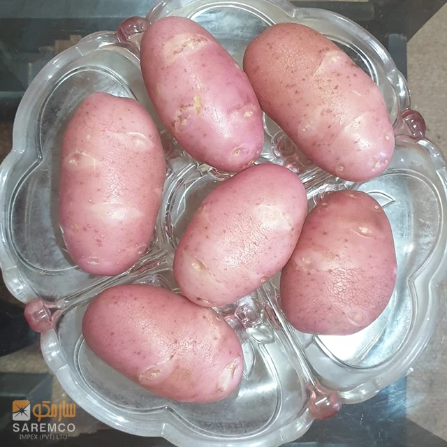 Fresh Asterix Potato | New Harvest from Pakistan