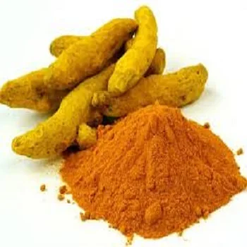 Top Quality Turmeric Root Powder Supplier from India