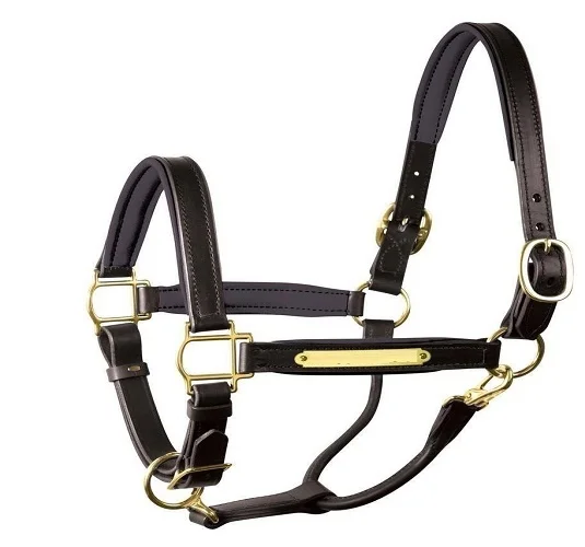 
Equestrian Horse Leather Halter Manufacturer India 