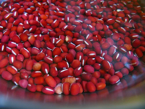 RED BEANS HIGH QUALITY FROM VIETNAM 2021/Whatsapp +84 845 639 639