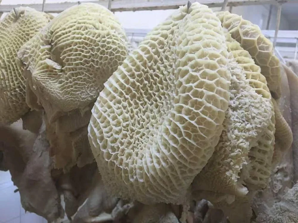 Beef Honeycomb / Beef Meat Honeycomb from Pakistan/ High Quality Clean and Fully Boiled