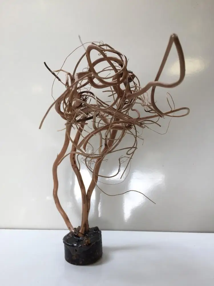 Nano aquarium driftwood