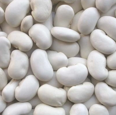 
New crop baby lima beans 