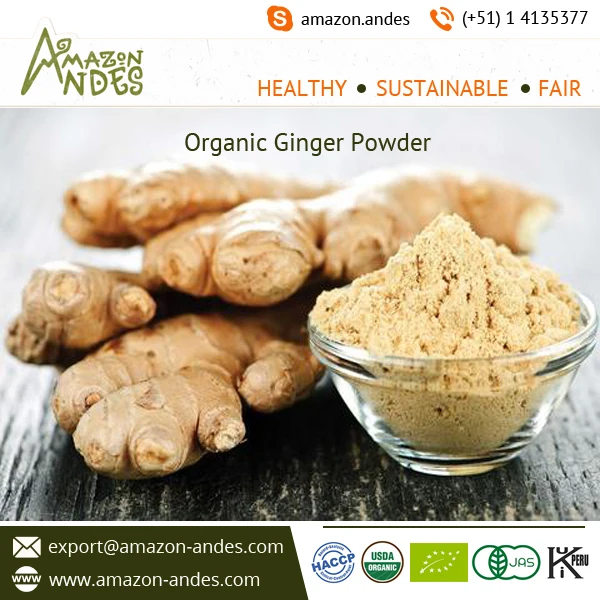 Eco-Friendly Excellent Quality Ginger Powder Price