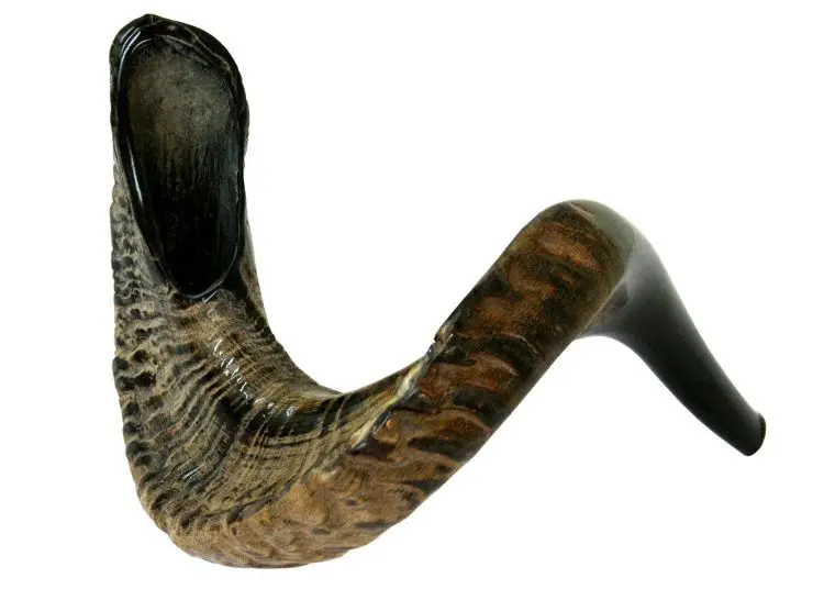 Shofar Kosher Ram Horn Great For Rosh Hashana Yom Kippur Yamim Noraim Bar & Bat Mitzvah Wedding Jewish Holidays Shabbat