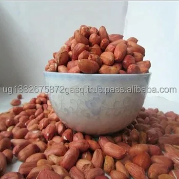 Red Peanut,blanched Peanut Kernels,Bold PeanutsBlanched Peanuts Java Peanuts/ Raw