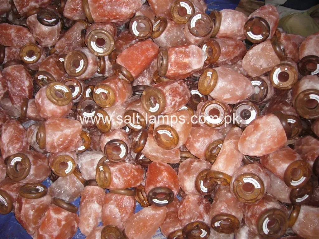 P1010492 (Large) (Copy)