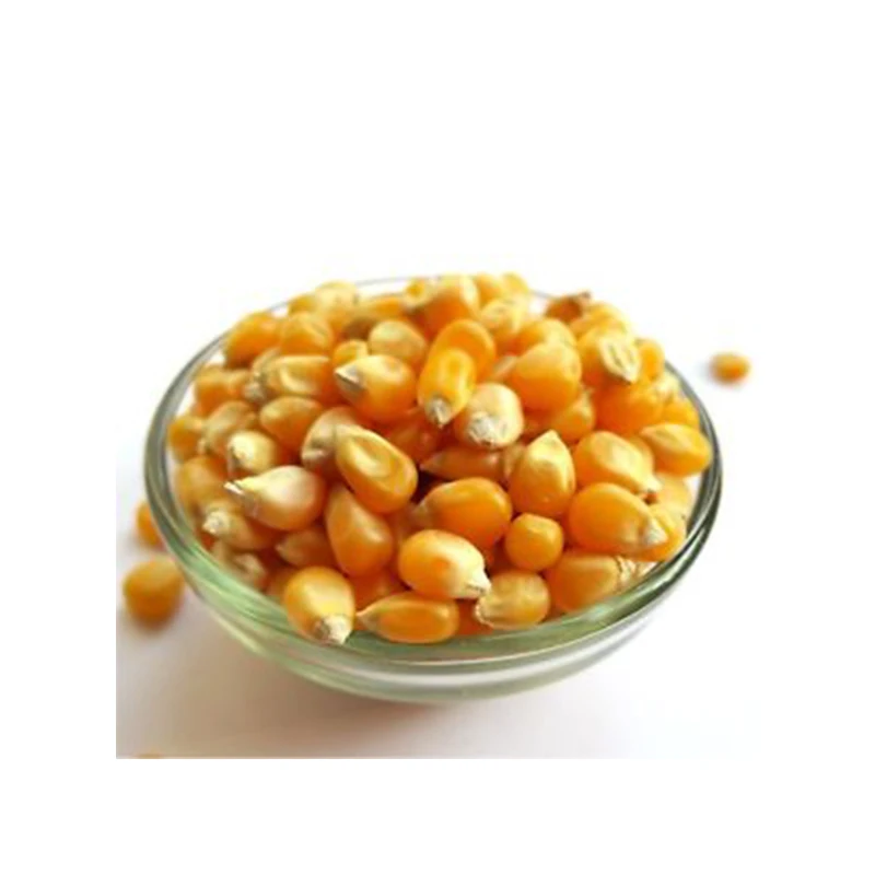 
Wholesale Price Yellow Corn Export Quality Dried Yellow Maize Corn for Sale 
