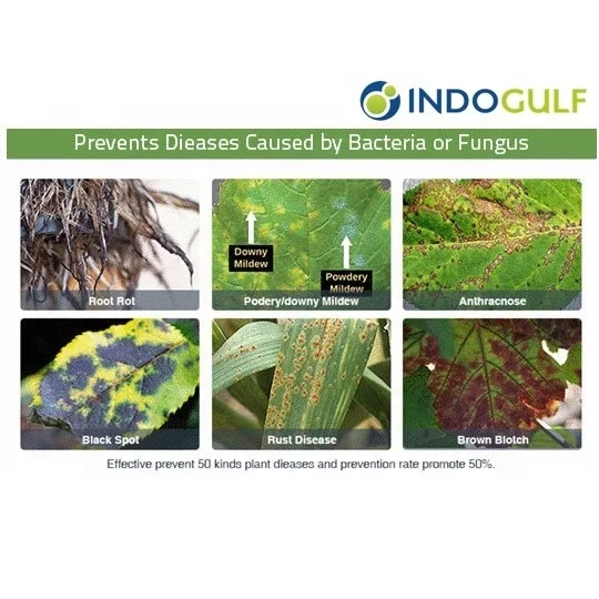 
Trichoderma Viride Powder Plant Protection Bio Fertilizer 