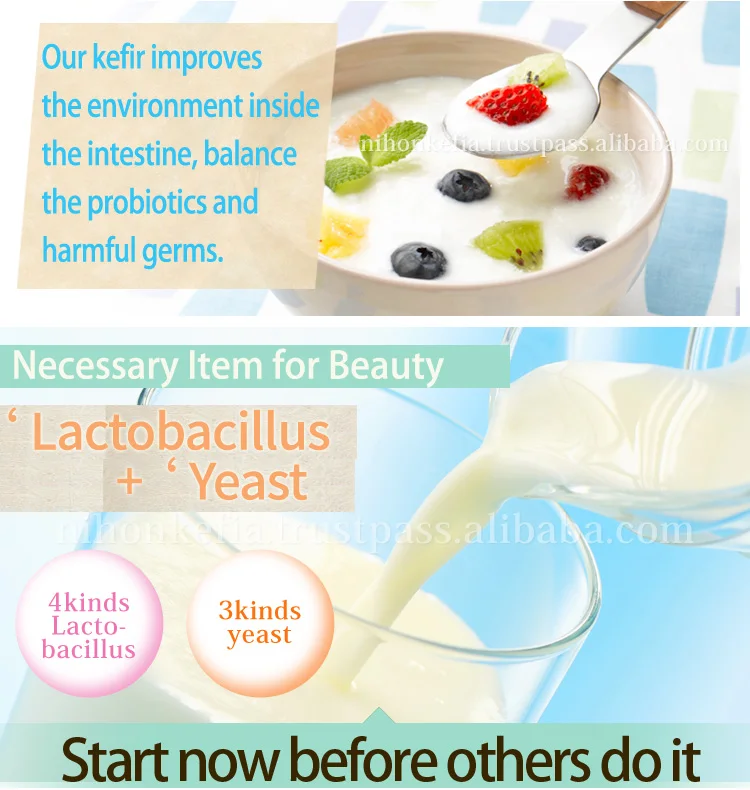 
Japanese top of kefir Healthy and Nutritious kefir yogurt probiotic ( kefir starter culture ) with Natural made in Japan 