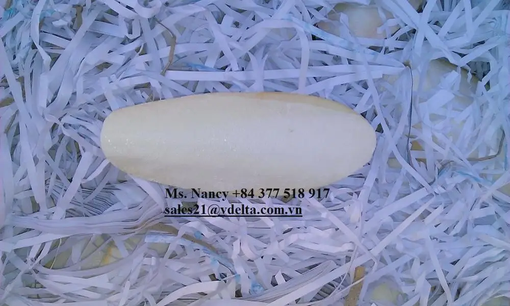 VIETNAM DRIED CUTTELLFISH BONE WITH MANY SIZES/CUTTLEFISH BONE/Ms.Lucy +84929397651