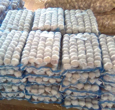 Pure and Natural Fresh Garlic