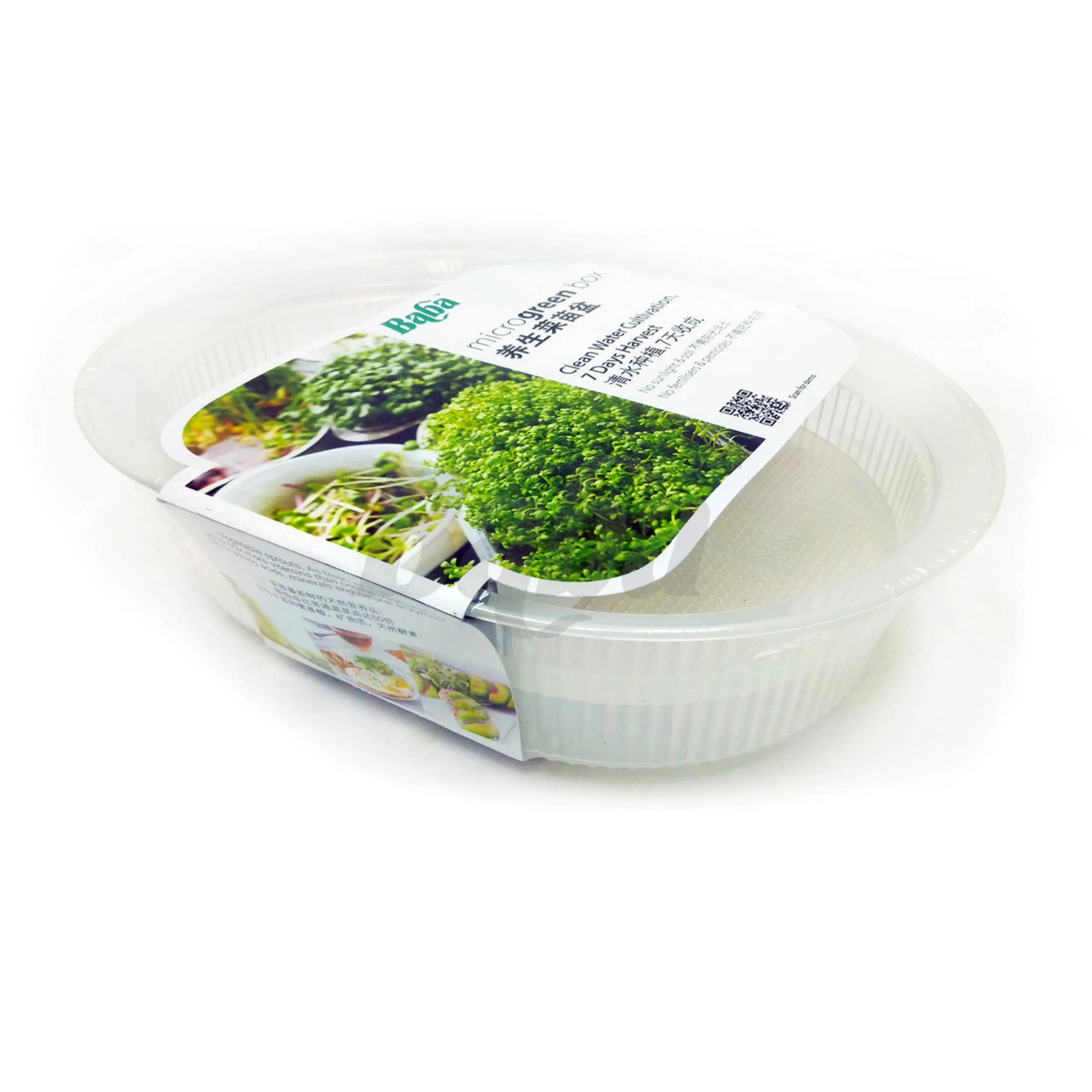 Microgreen Box