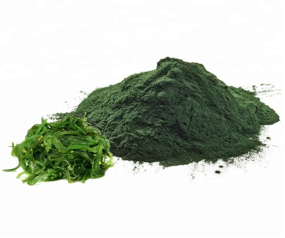 Raw Chlorella Powder Vegan And Gluten Free Certified Organic | Private Label | Bulk