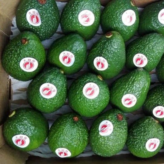 
Frsh Hass Avocado from Peru 