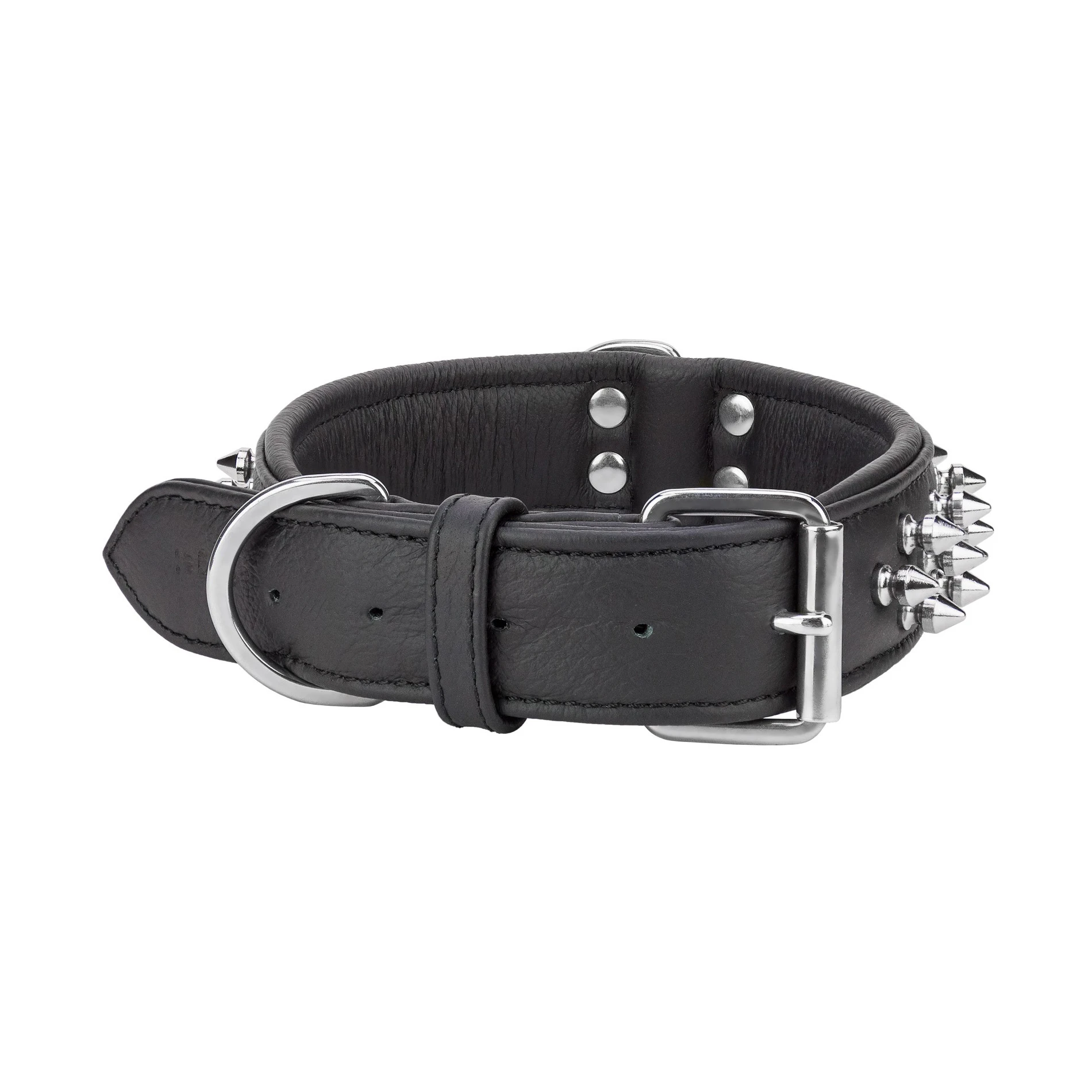 padded handmade leather dog collars (50039168655)
