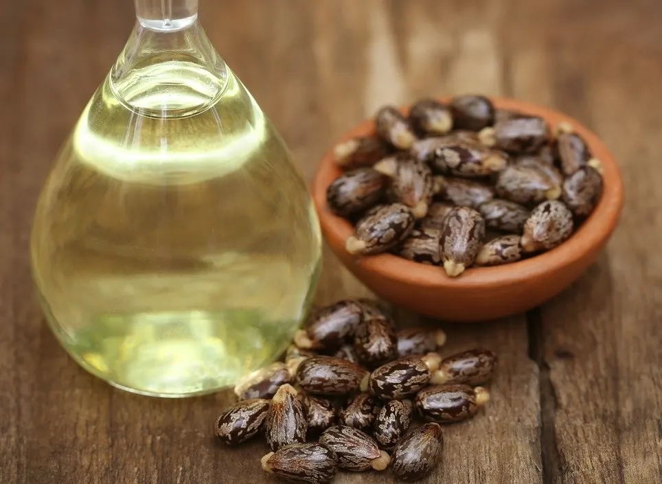 Best Quality of Bulk Quantity Castor Oil Supplier