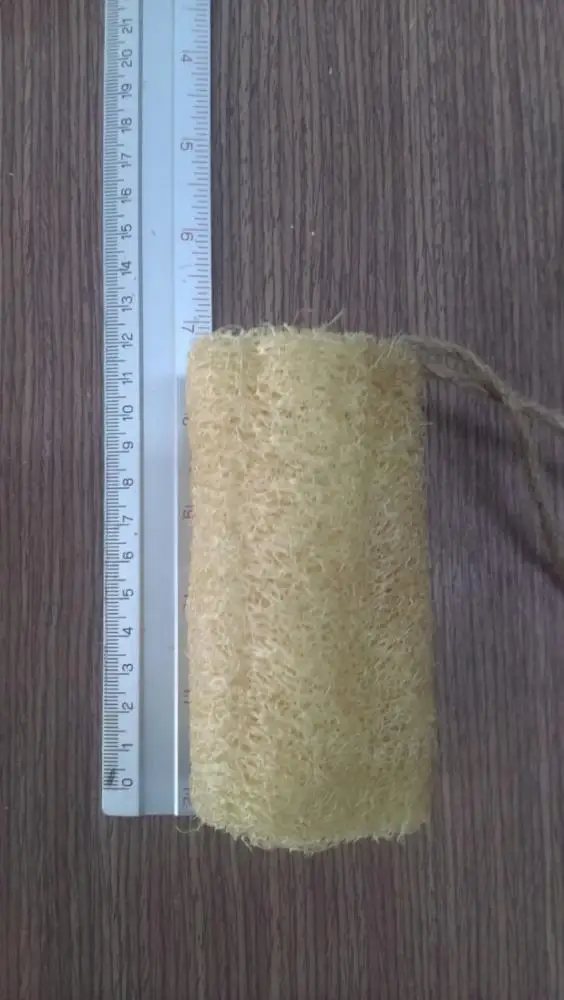 Hot Sale LOOFAH/LUFFA Bath Brushes High Quality Silicone Mesh Body Scrubbers Eco-Certified Lightweight from Vietnam