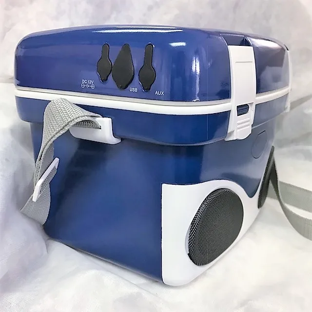 Mini music cooler box with built in wireless speaker and rechargeable battery  for outdoor