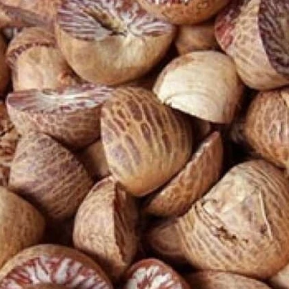 betel nut in myanmar