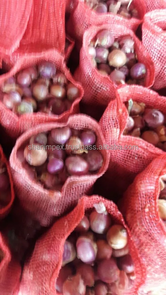 
Fresh Red Onions 