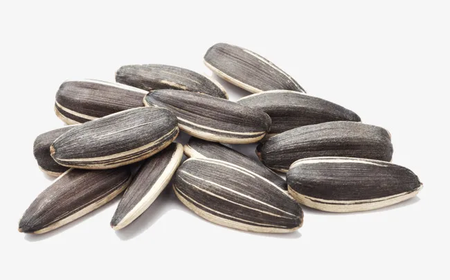 
Sunflower Seed for Sale at Low Price 